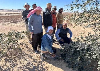 "الزراعة" تواصل تفقد التجمعات التنموية بشمال وجنوب سيناء 28 - جريدة المساء "الزراعة" تواصل تفقد التجمعات التنموية بشمال وجنوب سيناء 27 - جريدة المساء