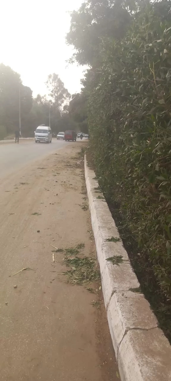 رئيس قرية "هو" بقنا يقود حملة نظافة موسعة ويزين الشوارع بعلم مصر 43 - جريدة المساء