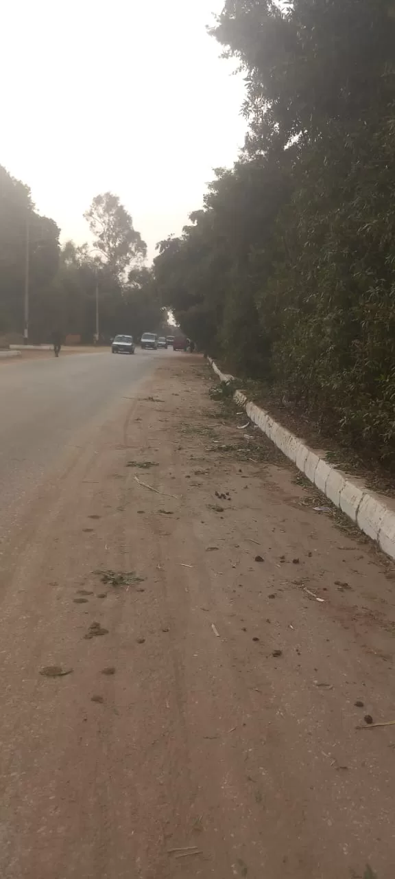 رئيس قرية "هو" بقنا يقود حملة نظافة موسعة ويزين الشوارع بعلم مصر 41 - جريدة المساء