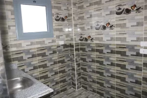 محافظ الجيزة: 50 بيتًا بدويًا بقرية القصر لمواطني الواحات البحرية.. صور 40 - جريدة المساء