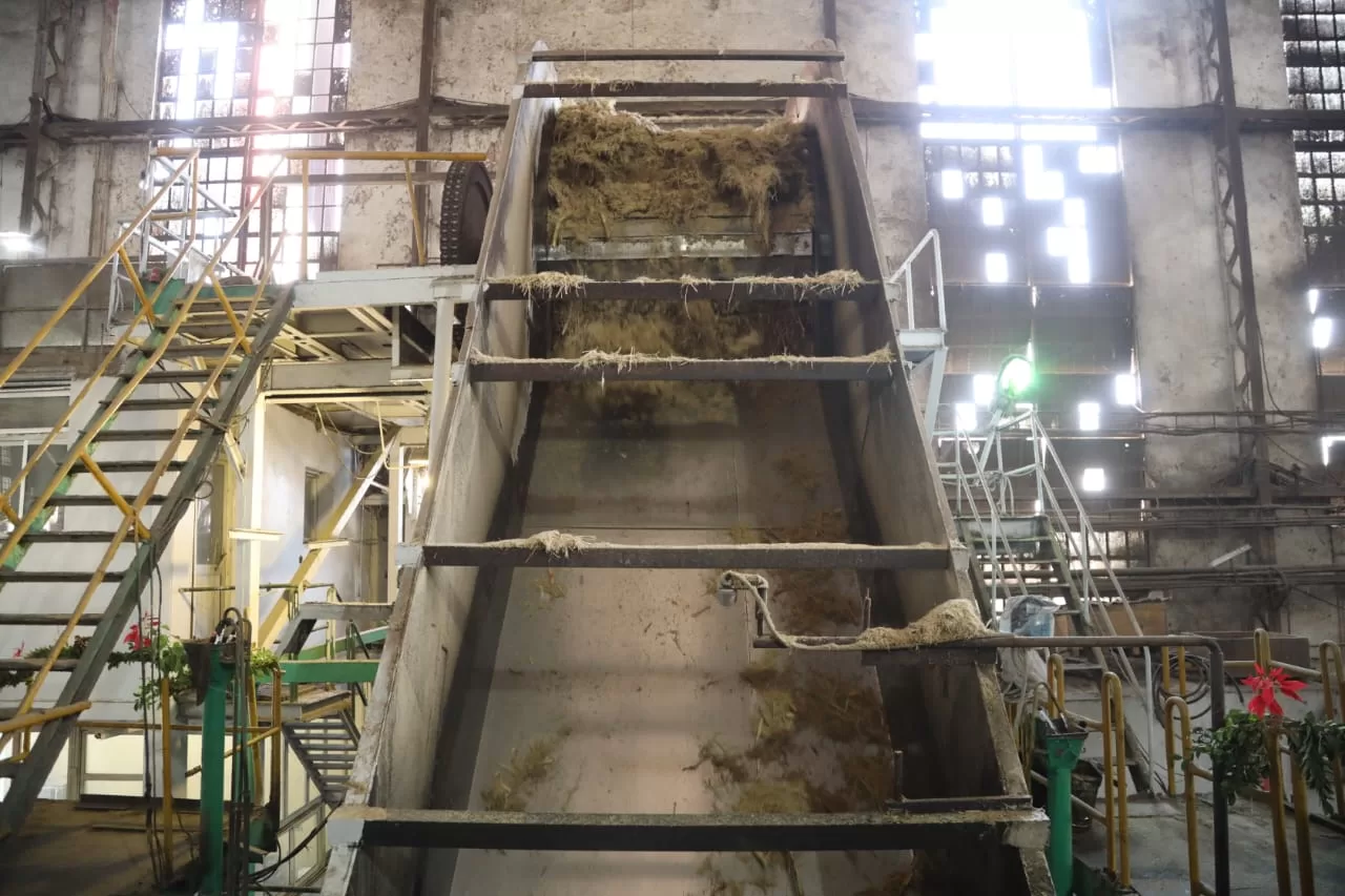 محافظ قنا يفتتح موسم عصير القصب لعام 2026 بمصنع سكر قوص 43 - جريدة المساء