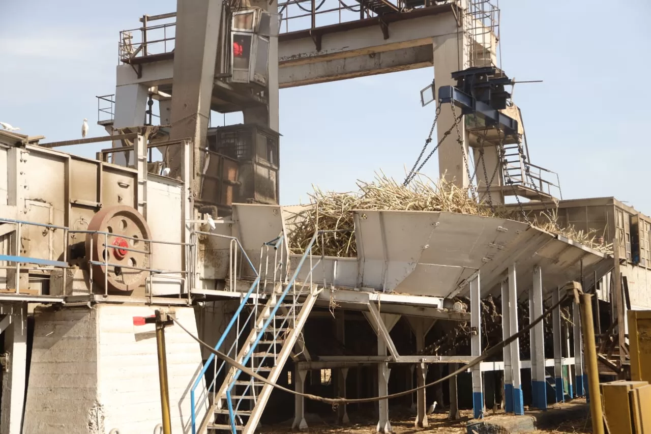 محافظ قنا يفتتح موسم عصير القصب لعام 2026 بمصنع سكر قوص 21 - جريدة المساء