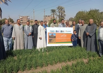 فريق مشروع «الليكارد» للتنمية الزراعية يزور قرية الأشراف القبلية بقنا 25 - جريدة المساء فريق مشروع «الليكارد» للتنمية الزراعية يزور قرية الأشراف القبلية بقنا 24 - جريدة المساء