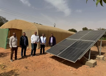 "الزراعة" تتفقد الأنشطة البحثية بمحطة بحوث الصحراء في توشكى 23 - جريدة المساء "الزراعة" تتفقد الأنشطة البحثية بمحطة بحوث الصحراء في توشكى 22 - جريدة المساء