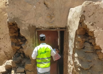 توزيع (850) كيلو لحوم على الأسر الأكثر إحتياجًا بمراكز أسوان 24 - جريدة المساء