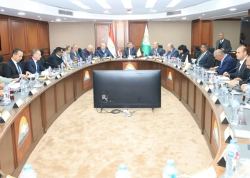 محافظ الجيزة يلتقي أعضاء مجلسي النواب والشيوخ