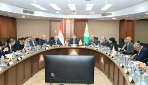 محافظ الجيزة يلتقي أعضاء البرلمان لبحث مطالب المواطنين 19 - جريدة المساء