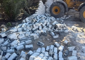 "الزراعة": إزالة أكثر من 1000 حالة تعدي على الأراضي الزراعية خلال أسبوع.. 25 - جريدة المساء