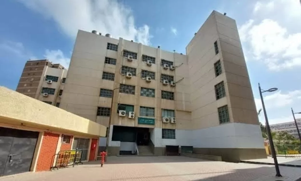 النقوش والكتابات المعمارية ..مؤتمر آثار عين شمس 4 فبراير  19 - جريدة المساء