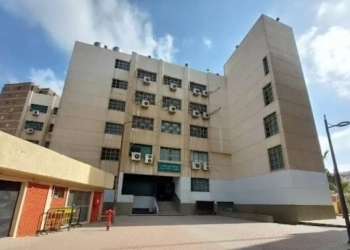 النقوش والكتابات المعمارية ..مؤتمر آثار عين شمس 4 فبراير  25 - جريدة المساء