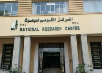 ينظمها القومى للبحوث الأربعاء القادم ..ورشة عمل لدعم صناعة زيت الزيتون 28 - جريدة المساء