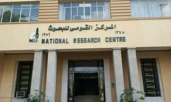 ينظمها القومى للبحوث الأربعاء القادم ..ورشة عمل لدعم صناعة زيت الزيتون 18 - جريدة المساء