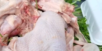 ضبط ربع طن دواجن محقونة بالمياه.. بحي غرب شبين 1 - جريدة المساء