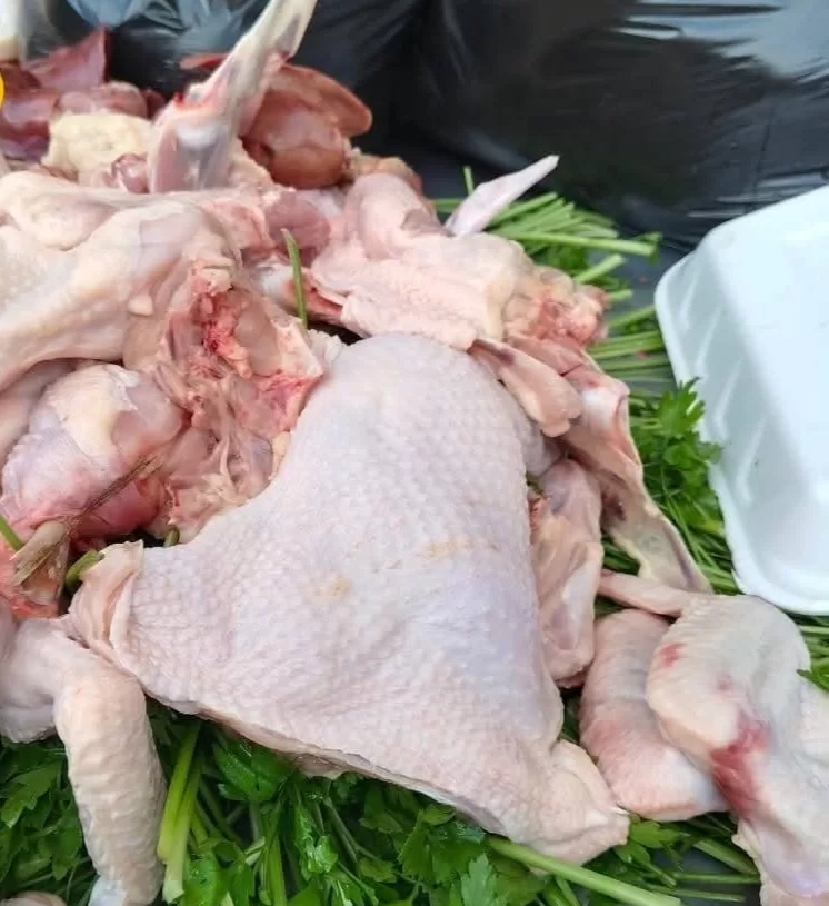 ضبط ربع طن دواجن محقونة بالمياه.. بحي غرب شبين 19 - جريدة المساء