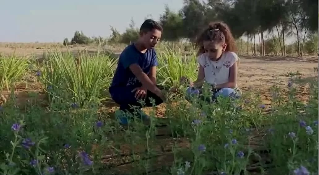 مهرجان المنصورة لسينما الأطفال يكشف عن قائمة أفلامه بـ ٣ مسابقات رسمية 19 - جريدة المساء