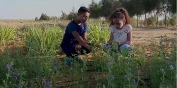 مهرجان المنصورة لسينما الأطفال يكشف عن قائمة أفلامه بـ ٣ مسابقات رسمية 1 - جريدة المساء