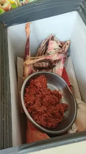 104 كيلو لحوم فاسدة و727 علبة سجائر مهربة نتاج حملة مفاجئة بمدينة الشروق 27 - جريدة المساء