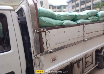 ضبط 3 طن دقيق مدعم قبل بيعة بالسوق السوداء بالقناطر الخيرية 23 - جريدة المساء