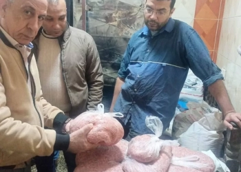 ضبط 600 لتر زيت طعام و200 ك لحم مفروم مجهولة المصدر بالقليوبية 20 - جريدة المساء
