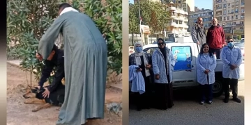 حملة لتطعيم وتحصين كلاب الشوارع من مرض السعار بسوهاج تنفذها الطب البيطري 1 - جريدة المساء