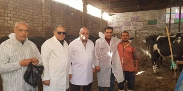 محافظ الفيوم يتابع أعمال الحملة القومية الإستثنائية للتحصين ضد مرض الحمى القلاعية 1 - جريدة المساء