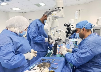 الرعاية الصحية: نجاح 8 عمليات زراعة قوقعة للأذن بمستشفيات الهيئة في أسوان 20 - جريدة المساء