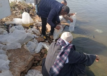 جهاز حمايه البحيرات: تنمية بحيرة وادي الريان بإنزال 460 ألف وحدة زريعة طوبار 23 - جريدة المساء