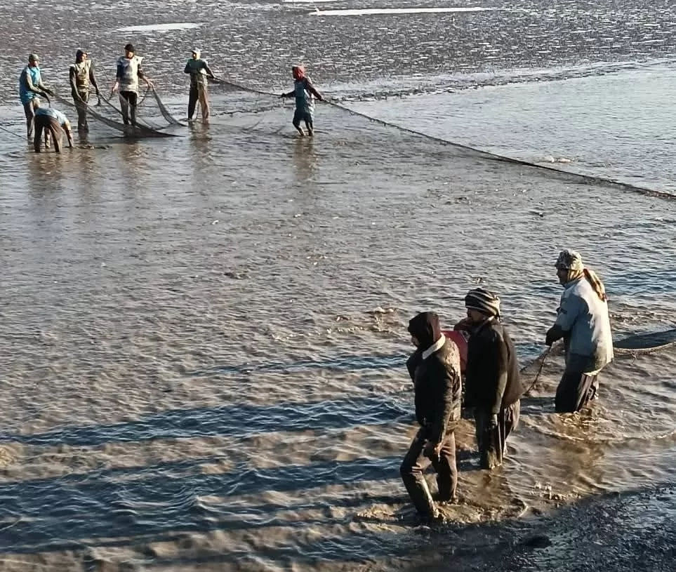 جهاز حماية البحيرات يواصل دعم الإنتاج بكفر الشيخ 18 - جريدة المساء جهاز حماية البحيرات يواصل دعم الإنتاج بكفر الشيخ 17 - جريدة المساء