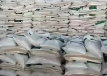 ضبط17 طن أسمدة مجهولة المصدر..بالمنوفية 22 - جريدة المساء