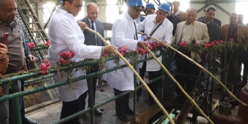 محافظ قنا يفتتح موسم عصير القصب بمصنع سكر دشنا 1 - جريدة المساء