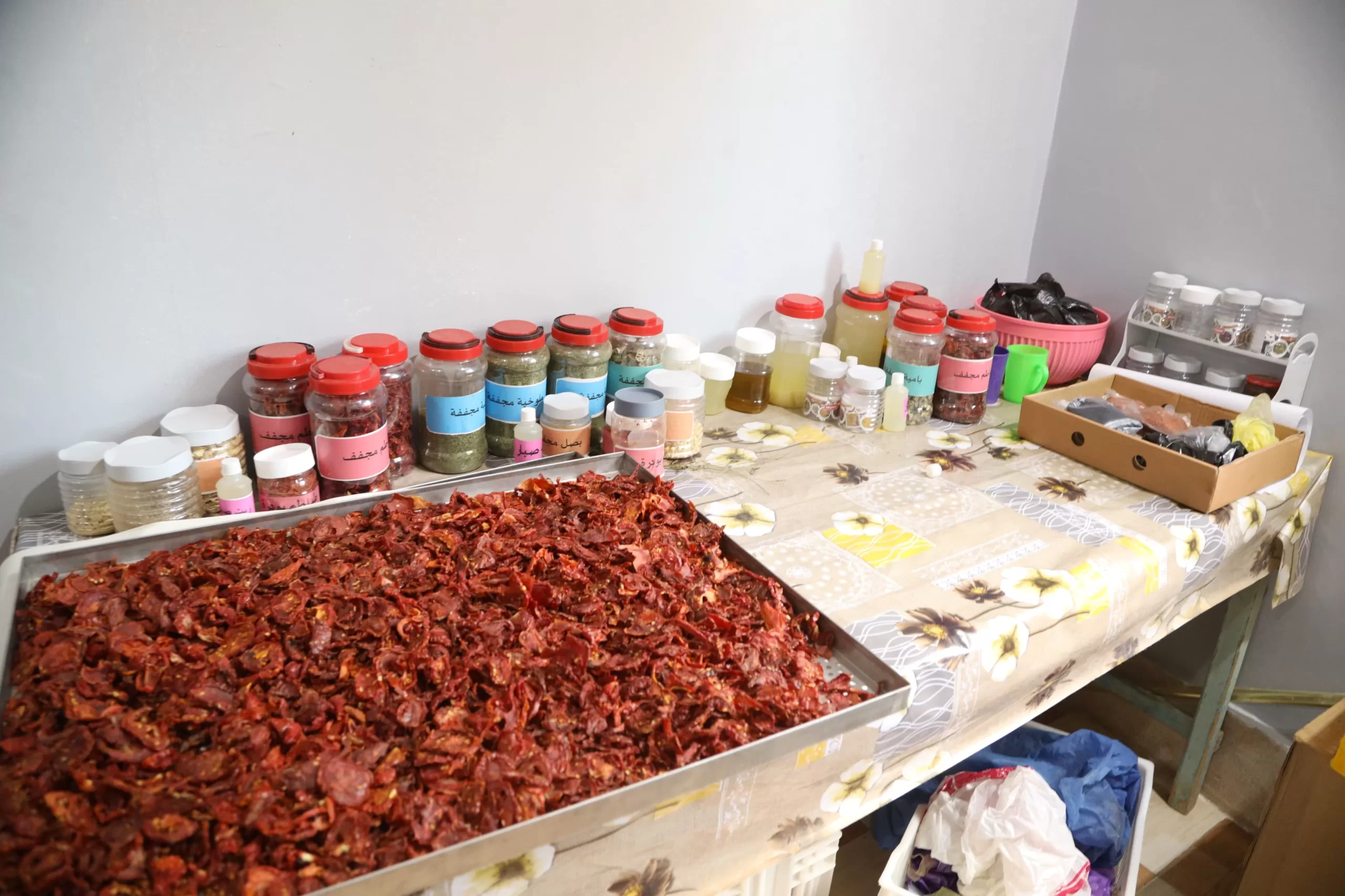 مشروع "إيكاردا" للري الشمسي ومنشأة للتصنيع الزراعي بقرى الأشراف 25 - جريدة المساء