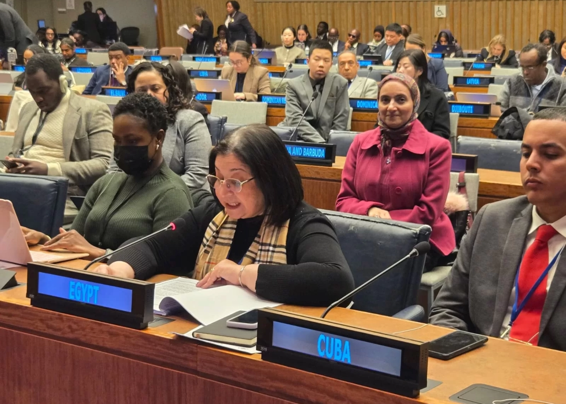 «حياة كريمة» ورأس المال البشري محور رؤية مصر للتنمية المستدامة 19 - جريدة المساء