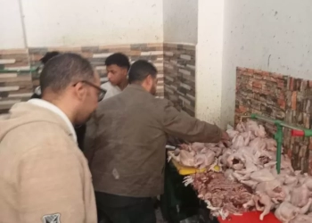ضبط 26 طنًا من مصنعات ومقطعات اللحوم والدواجن الفاسدة بالجيزة خلال شهر 27 - جريدة المساء