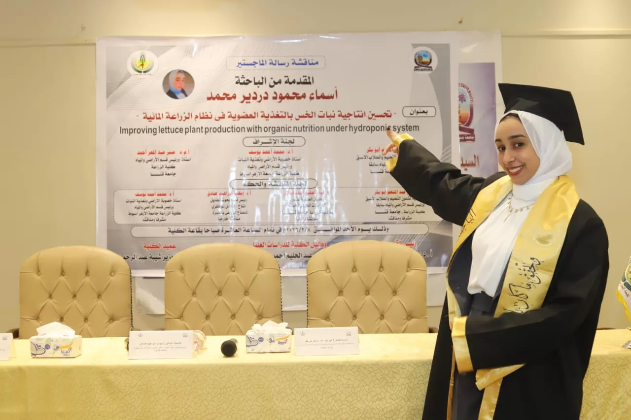 رسالة ماجستير بجامعة قنا تناقش تحسين إنتاجية الخس بالتغذية العضوية 37 - جريدة المساء