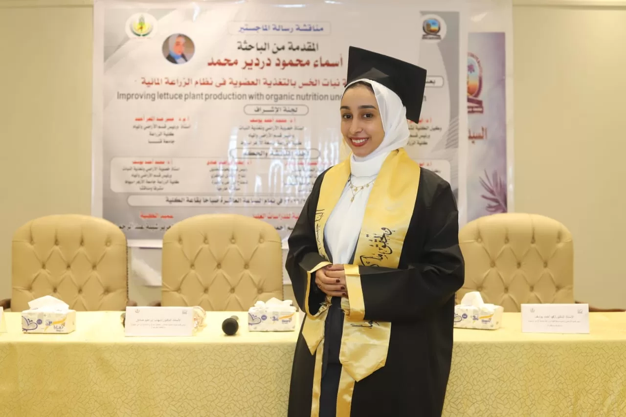 رسالة ماجستير بجامعة قنا تناقش تحسين إنتاجية الخس بالتغذية العضوية 33 - جريدة المساء