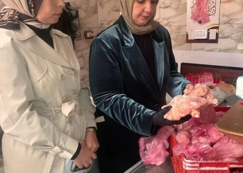 ضبط أكثر من 3 طن مواد غذائية متنوعة وتحرير 217 مخالفة تموينية بالدقهلية 19 - جريدة المساء