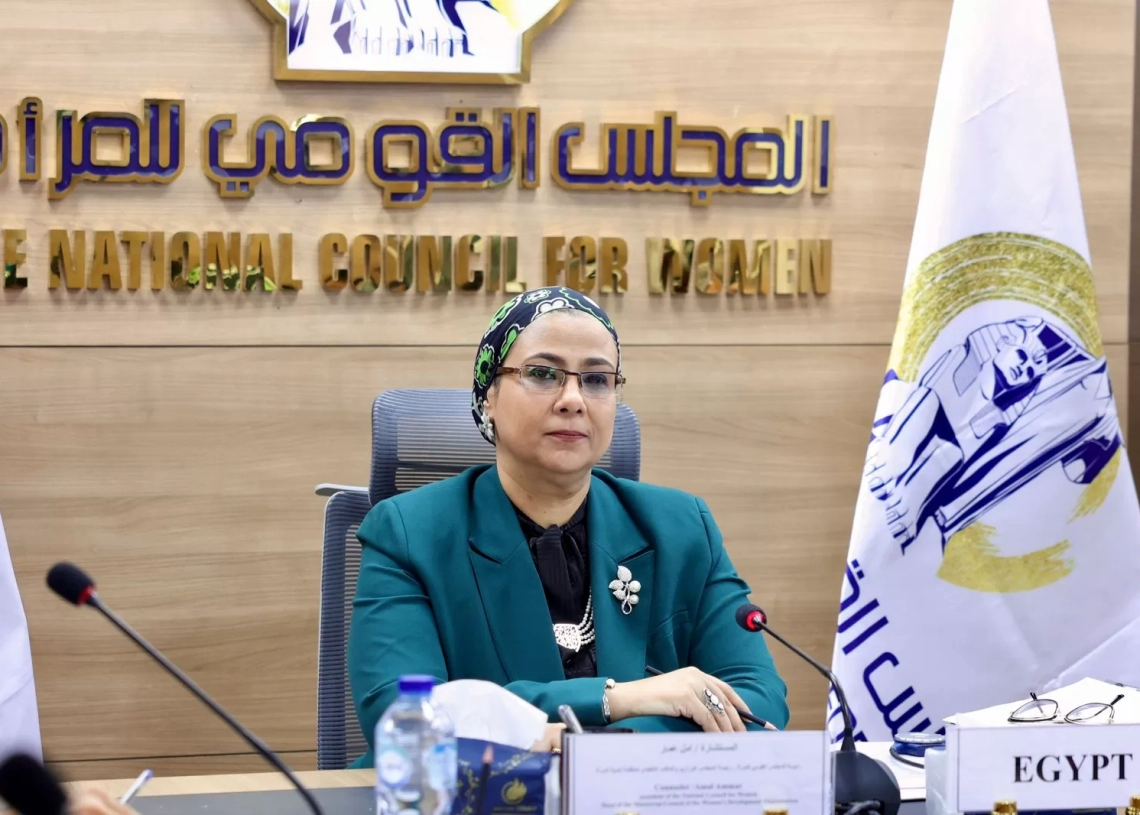 أمل عمار ترأس الدورة الثالثة للمجلس الوزاري لمنظمة تنمية المرأة 19 - جريدة المساء