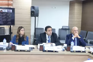 أمل عمار ترأس الدورة الثالثة للمجلس الوزاري لمنظمة تنمية المرأة 27 - جريدة المساء