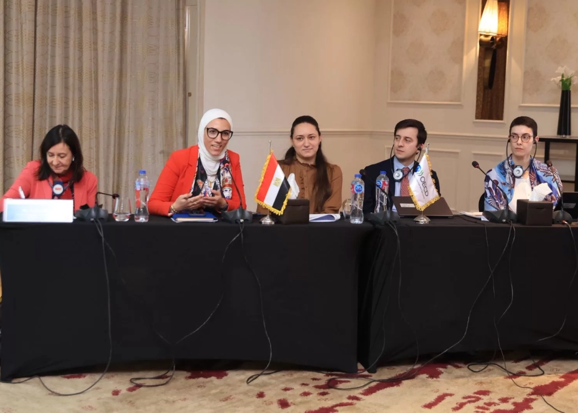 المجلس القومي يختتم ورشة مشاركة المرأة في الحياة العامة 18 - جريدة المساء