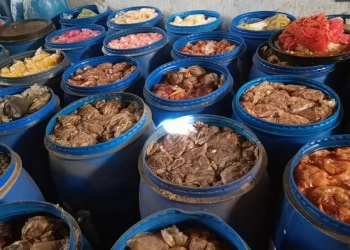 ضبط مصنع مخالف لإنتاج المخللات بالمنوفية..و التحفظ على 315 طنا فاسدا 21 - جريدة المساء