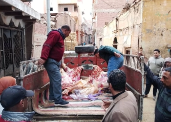 ضبط نصف طن لحوم مذبوحة غير صالحة للاستهلاك الآدمي.. بالمنوفية 28 - جريدة المساء ضبط نصف طن لحوم مذبوحة غير صالحة للاستهلاك الآدمي.. بالمنوفية 27 - جريدة المساء