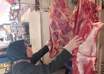 الطب البيطرى ينظم حملات تفتيشية بمحلات الجزارة والأسماك باسوان 26 - جريدة المساء