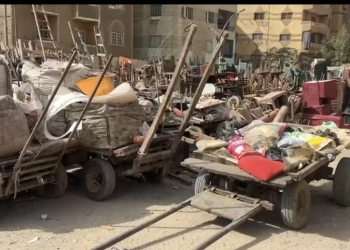 مصادرة 57 عربة كارو وتروسيكل خلال حملات لمواجهة النباشين والفريزة بالجيزة 26 - جريدة المساء