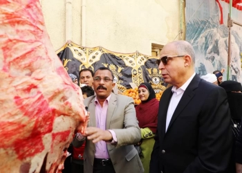 محافظ كفر الشيخ تفقد عددًا من الشوارع والمحاور لمتابعة المرافق ومستوى الخدمات المقدمة لأهالينا 19 - جريدة المساء