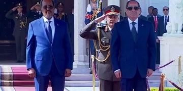 شراكة القاهرة ومقديشو ركيزة أساسية لاستقرار الإقليم 1 - جريدة المساء