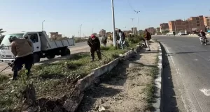تحسين الكفاءة المرورية ورفع معدلات الأمان بالقنطرة غرب 39 - جريدة المساء
