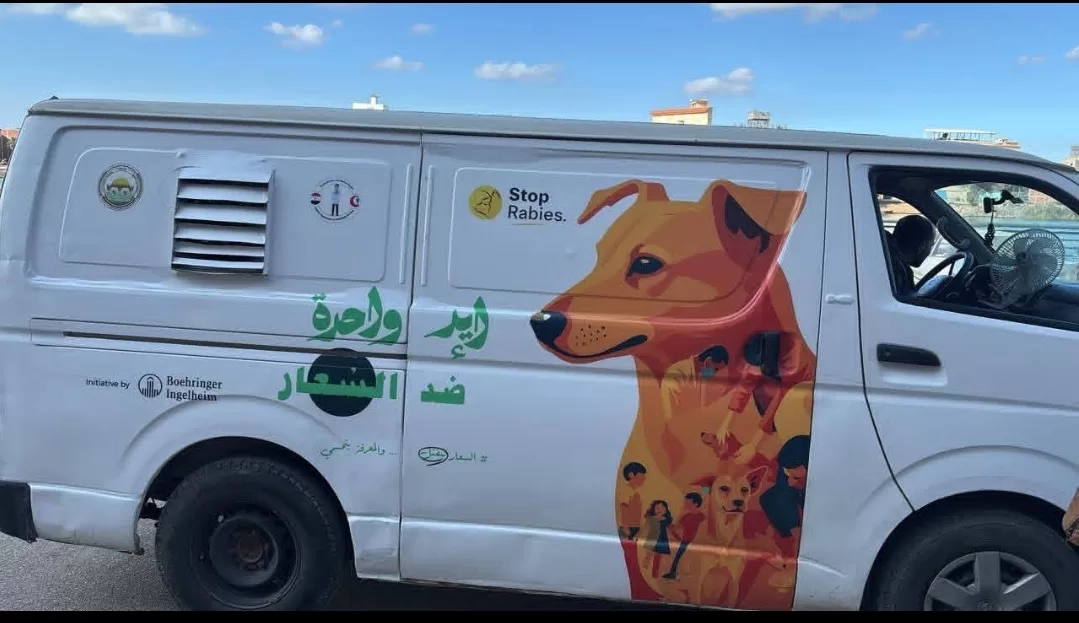 تجربة إنسانية رائدة .. دمياط تقود الحل الحضاري لمشكلة الكلاب الضالة 27 - جريدة المساء
