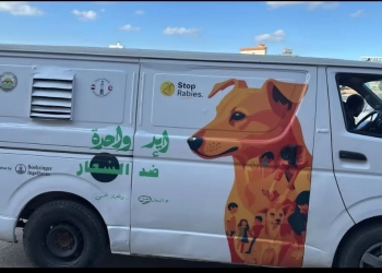 تجربة إنسانية رائدة .. دمياط تقود الحل الحضاري لمشكلة الكلاب الضالة 29 - جريدة المساء
