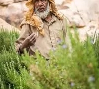 وفاة الطبيب أحمد منصور حكيم سيناء "أبوطب الأعشاب" 1 - جريدة المساء