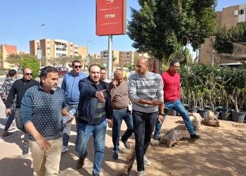 تحركات بالشروق.. رفع كفاءة النظافة والصيانة والطرق بالإسكان المتوسط 24 - جريدة المساء